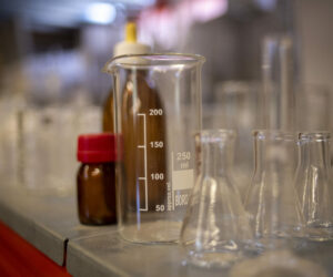 Laboratori