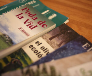 Llibres