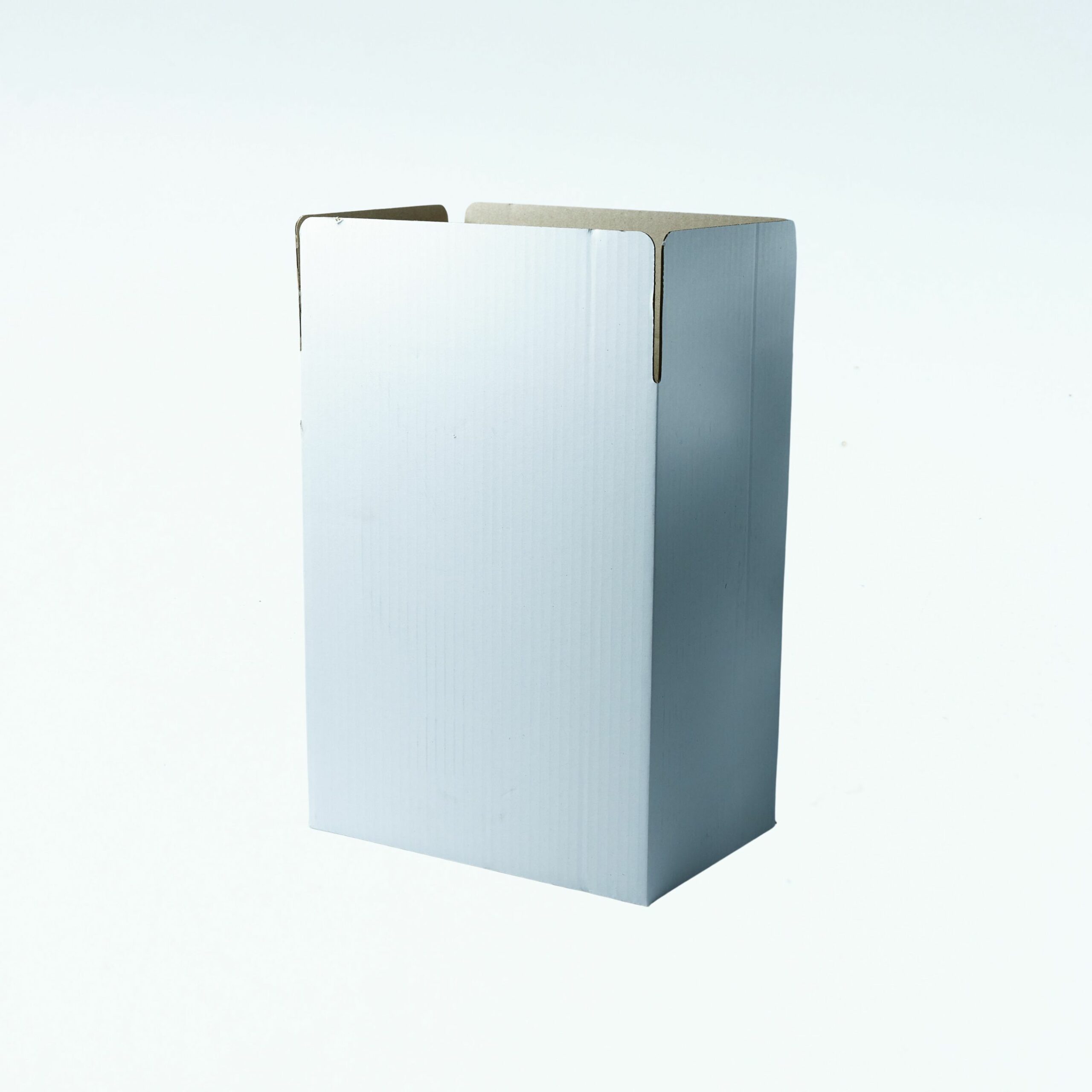 Caixa Cartró Blanca Vertical BORD 32 6 Bot AUTO